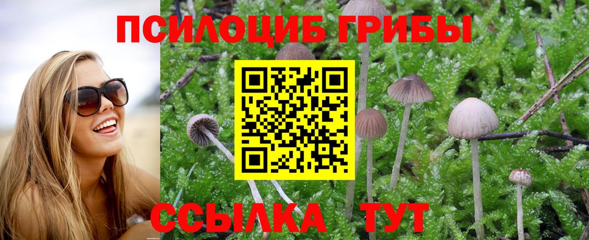 Галлюциногенные грибы мицелий  Псилоцибиновые грибы Magic Shrooms  Вход с VPN  Оренбург 